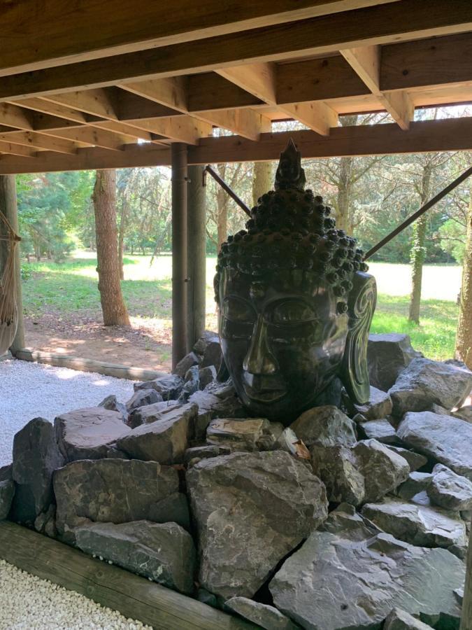 Gite Pont-A-Mousson, La Pepiniere Pagode Asiatique Zewnętrze zdjęcie